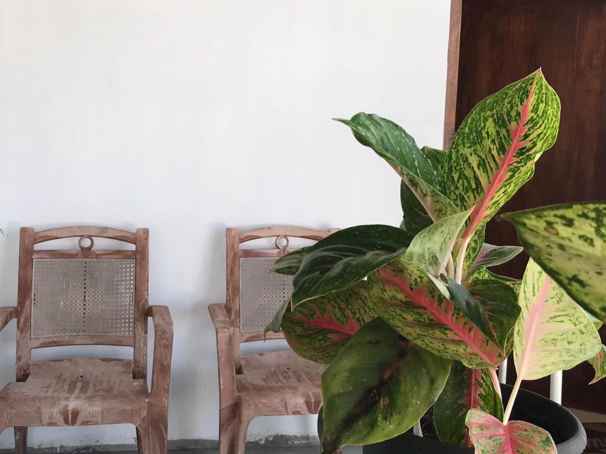Anna Tourist Inn ネゴンボ エクステリア 写真